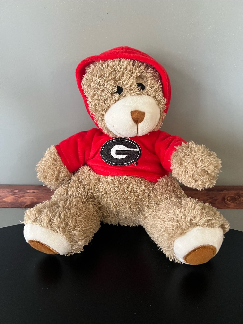 Georgia Bulldogs Plush Teddy Bear